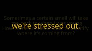 Stressed out  Twenty One Pilots Lyrics SPEED UP [upl. by Analaf]