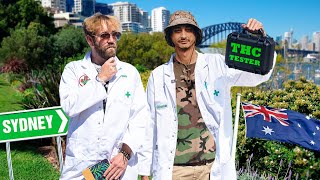 How Strong Is Sydneys Bud  Testing How Chronic Australia [upl. by Jon]