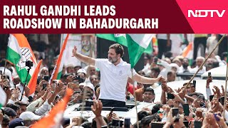 Rahul Gandhi Leads Roadshow In Bahadurgarh Ahead Of Elections [upl. by Llertnom]