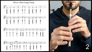 Tuto Tin Whistle  Eileen A Run Song Gmaj [upl. by Ayidah]