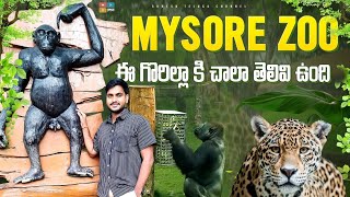 Mysore Zoo Full Video 2022 Chamarajendra Zoological Gardens  Mysore Tourism  Tamada Media [upl. by Trebbor]