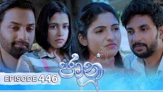 Jaanu  Episode 446  20241108  ITN [upl. by Cariotta]