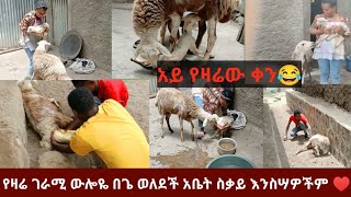 የዛሬው ውሎዬ ስቃይ ነበር ይሄ በቪዲዬ ይሄን ለማያቁ ሰዎች በሙሉ ይሁንልኝ Watch my video showing sheep giving birth 😱 [upl. by Tingley]