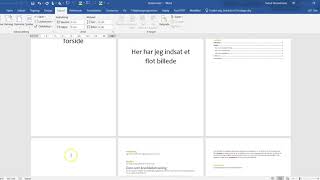 Vejledning til sidetal indholdsfortegnelse og typografier fx til brug i SRP [upl. by Adalheid983]