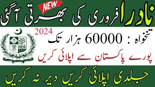 NADRA Jobs 2024  How to Apply  NADRA Jobs 2024 Apply Online [upl. by Gorski]