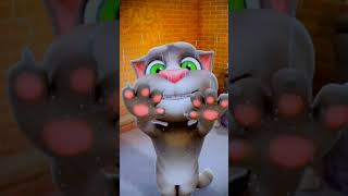 😆🤣😆Billi Video Short [upl. by Neerehs]