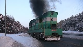 Тепловоз ЧМЭ35371 на перегоне ЛийваЮлемисте  CME35371 between Liiva and Ülemiste stations [upl. by Nika]