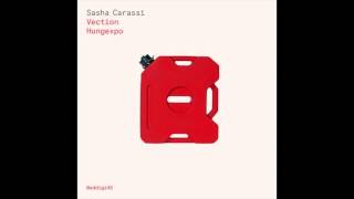 Sasha Carassi  Hungexpo Original Mix [upl. by Kacey]