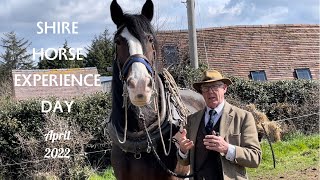 Mixed Weather For Our First Shire Horse Experience Day of the Season 2022 [upl. by Deering15]