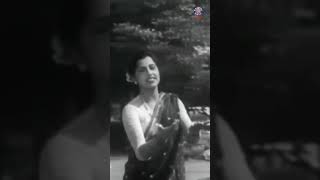 स्पर्श सुखानी मी मोहरतेझाडा खाली गर्द सावल्या romanticmarathisong rajshrimarathimusic [upl. by Silenay566]