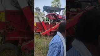 harvesting polam cotuong viralshort paddy seds ytshorts agriculture farming lifestyle [upl. by Ecyor]