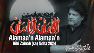 Nohay 2024  Alamaan Alamaan  Dr Amir Rizvi  Bibi Zainab Noha 2024 [upl. by Tedder]