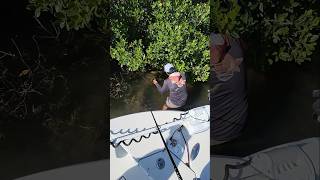 Chris Jumps Off Boat for Fish fishingfail tampabayfishing fishingcharter [upl. by Ainoyek]