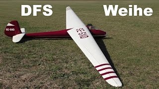 DFS Weihe scale RC glider 2017 [upl. by Northrup]