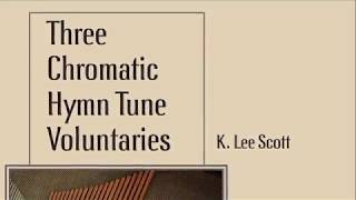 St Denio from Three Chromatic Hymn Tune Voluntaries Organ [upl. by Anaehs]