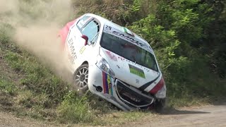 Rally Colli del Monferrato e del Moscato 2024 CRASHES amp MISTAKES [upl. by Arden]