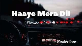 Haaye Mera Dil SlowedReverb  Alfaaz ft Honey Singh  Lofi music lofimusic trending music [upl. by Yentyrb]