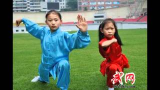 Wudang Chinesische Pipo Pi Po China Music 432 Hz [upl. by Ennaj465]