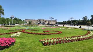 Sommernachtskonzert der Wiener Philharmoniker Schloss Schönbrunn Sommer Nacht Konzert Wien Vienna [upl. by Vivien]