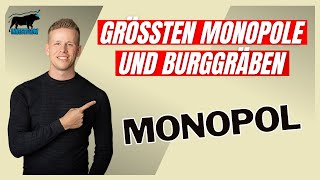 DIESE 4 Aktien haben Monopolstellungen mit bis zu 71 Marktanteil  Investflow Aktienanalyse [upl. by Econah]