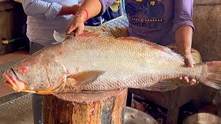 Incredible Big Ghol Fish Cutting Live In Fish Market  Fish Cutting Skills [upl. by Harriette]