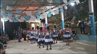 Danza de Ntra Sra de Gpe en Atempa Mpio Ilamatlan Veracruz [upl. by Siocnarf]