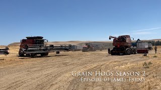 Grain Hogs S2E01  James Farms Harvest 2023 [upl. by Ayad926]