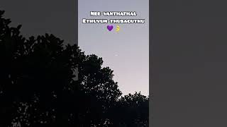 Nee vanthathal ethuvum thusaguthu moonlight love subscribemychannel [upl. by Virnelli]