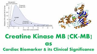 Creatine Kinase MB CKMB as a Cardiac Biomarker amp Its Clinical Significance and diagnosis of MI [upl. by Niltak]