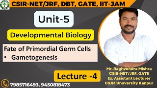 Fate of Primordial Germ Cells  Gametogenesis  L4  Unit5 𝐆𝐞𝐧𝐞𝐬𝐢𝐬 𝐈𝐧𝐬𝐭𝐢𝐭𝐮𝐭𝐞 𝐨𝐟 𝐋𝐢𝐟𝐞 𝐒𝐜𝐢𝐞𝐧𝐜𝐞𝐬 [upl. by Anita]