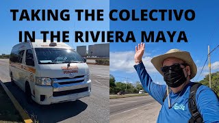 How To Take The Colectivo Riviera Maya Cancun Playa Del Carmen Tulum [upl. by Ennahs]