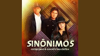 Chitãozinho amp Xororó Ana Castela  Sinônimos  Tema da Novela Terra e Paixão [upl. by Atsiuqal]