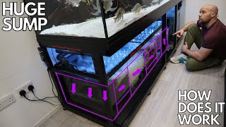 FRESH WATER AQUARIUM SUMP HOW DOES IT WORK [upl. by Adnoved]