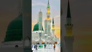 🥀🤲October 10 2024 pehli Nawaz basketball Allah islami islam islamic islamicvideo shortsfeed [upl. by Rania]