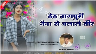 Naina Se Chalale Tir Theth Nagpuri DJ songs 2024  DJ Kush Upar Semra [upl. by Zoara]