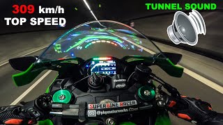 Meet The HULK  Kawasaki Ninja ZX10R Top Speed  Motorway Run [upl. by Ardenia]