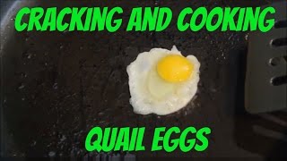 How to Crack and Cook Quail Eggs [upl. by Yonit]