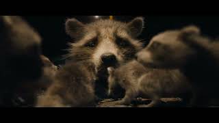 Rocket Discovers he is a Raccoon  Guardians of the Galaxy 3 Clip HD [upl. by Hcurab]