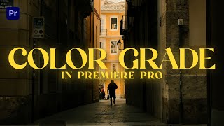 How To Color Grade Your Videos in Premiere Pro  How to use LUTS [upl. by Inami504]