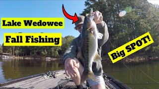 Lake Wedowee Bass Fishing  October 2021 [upl. by Ainezey]