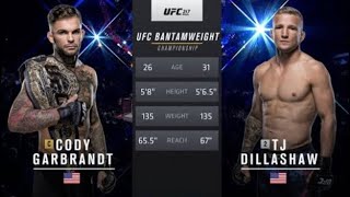 Cody garbrandt vs TJ Dillashaw full fight ufc 217 [upl. by Nywnorb]