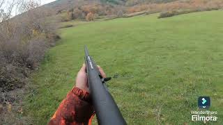 Chasse dans le Cantal Tir dune chevrette et dune biche de 108kg [upl. by Lionel]