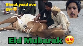 Eid Mubarak ❤️  Janwar bht yaad ayein gye 😭 [upl. by Soilisav]