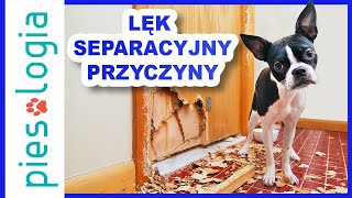 Lęk separacyjny cz1  Przyczyny [upl. by Ravert]