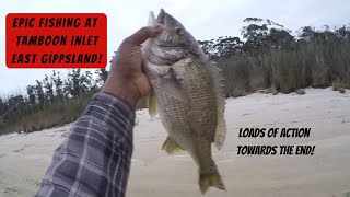 Epic Day fishing at Tamboon Inlet East Gippsland fishing fishingaustralia breamfishing [upl. by Violet542]