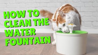 How To Clean Your Pet’s Water Fountain  Two Crazy Cat Ladies [upl. by Joannes]