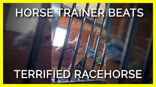 EXPOSED Horse Trainer Screams at Terrifies and Beats Young Racehorse [upl. by Power186]