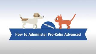 How to give ProKolin Advanced to your pet [upl. by Uokes]