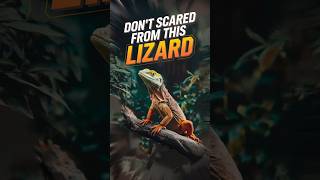 इस छिपकली से मत डरो Dont Scared From This Lizard shorts viralvideo [upl. by Kcirderfla]