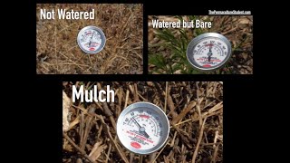 The Power of Mulch with Matt Powers The Advanced Permaculture Student Online [upl. by Haile]